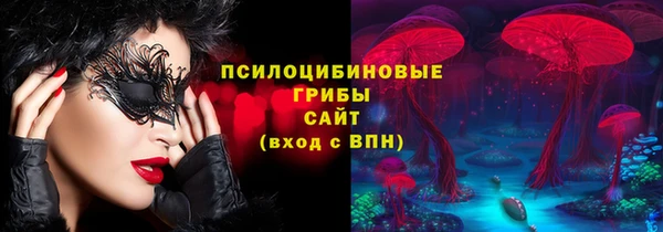 шишки Карпинск