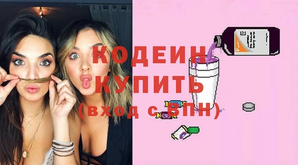шишки Карпинск