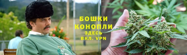 сатива Касимов