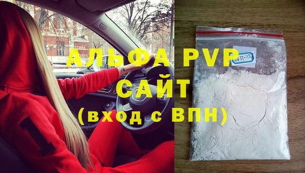 шишки Карпинск