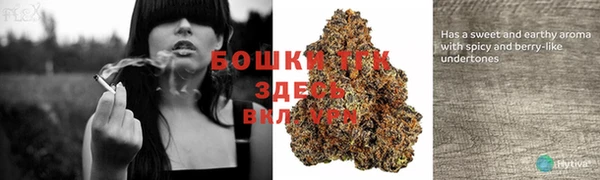 шишки Карпинск