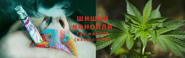 шишки Карпинск