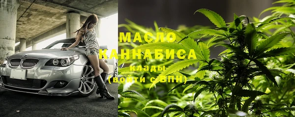 шишки Карпинск