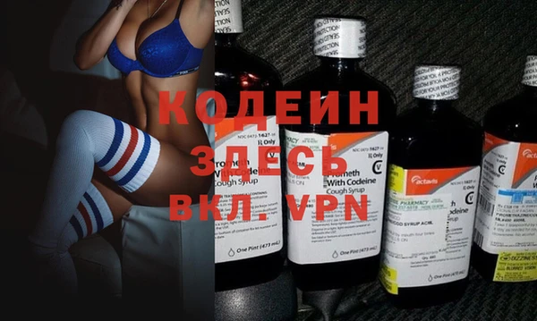 шишки Карпинск