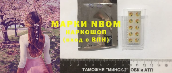 шишки Карпинск