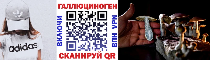 Псилоцибиновые грибы Psilocybine cubensis  Купить  Онега 